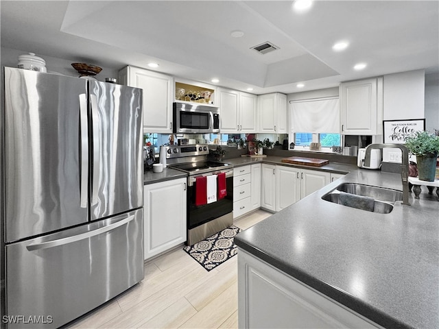 kitchen with stainless steel appliances, white cabinetry, and a tray ceiling