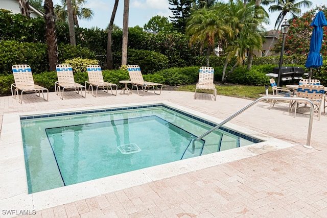 view of swimming pool with a patio