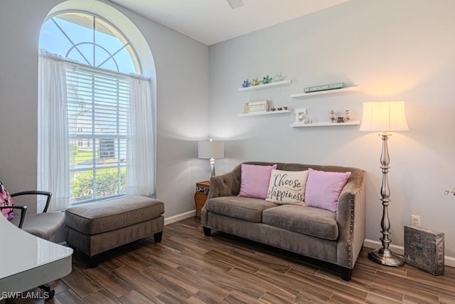 living area featuring ceiling fan, wood finish floors, and baseboards