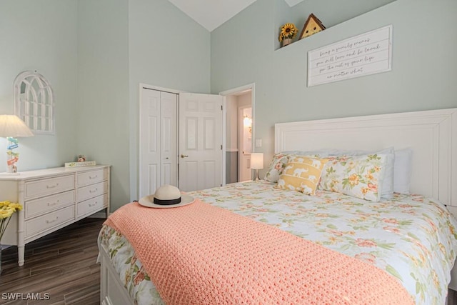 bedroom featuring high vaulted ceiling, dark wood-type flooring, and a closet