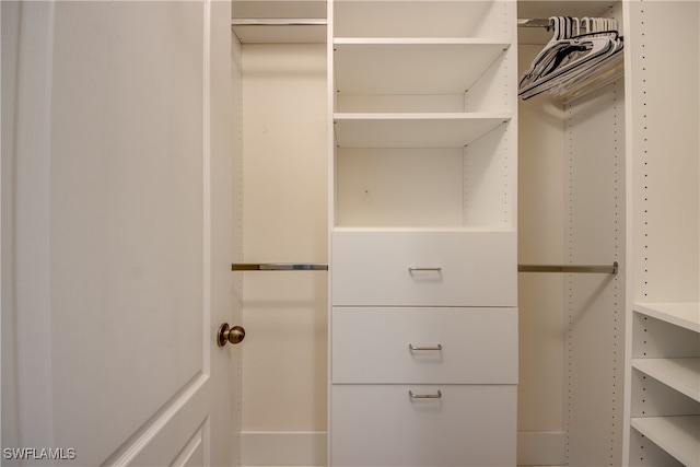 view of spacious closet