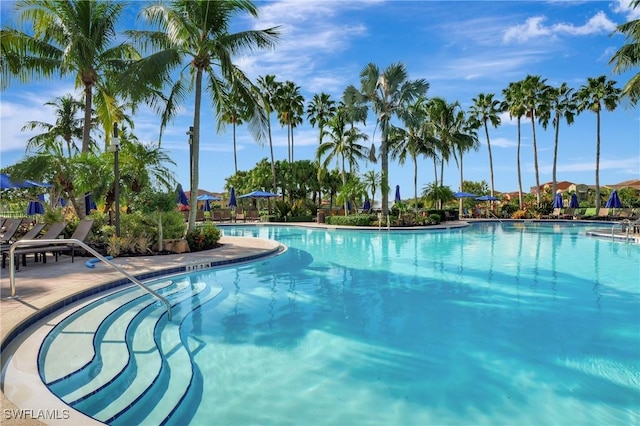 view of pool with a patio area