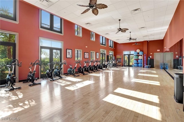 workout area with ceiling fan, a drop ceiling, light hardwood / wood-style floors, and a high ceiling