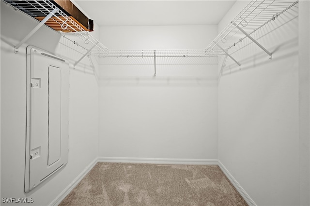 spacious closet featuring carpet flooring