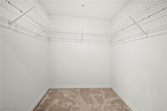 walk in closet with carpet