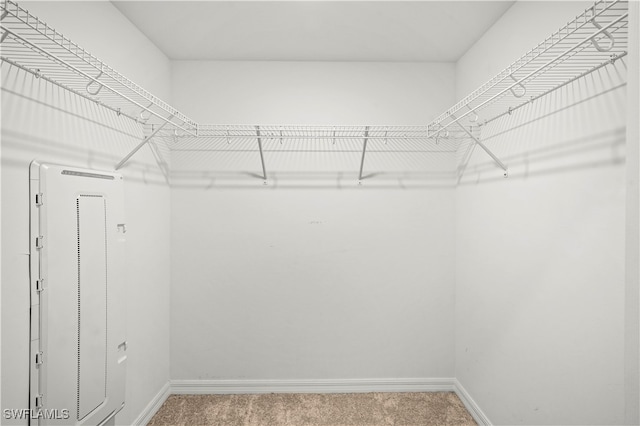 spacious closet with carpet flooring