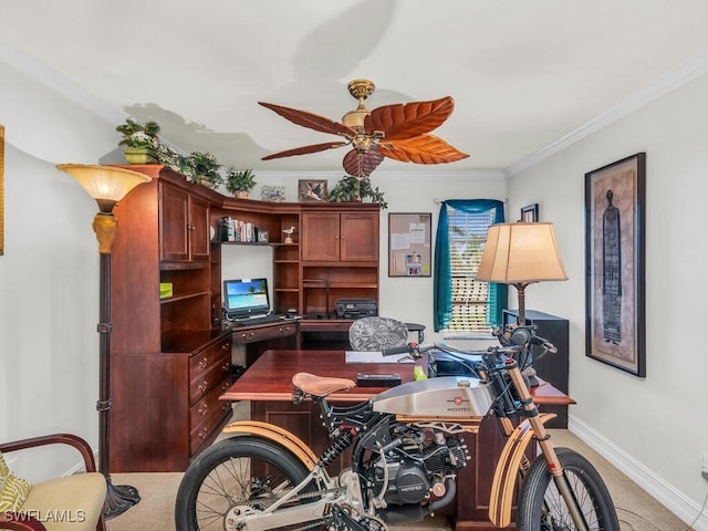 carpeted office space with ceiling fan and ornamental molding