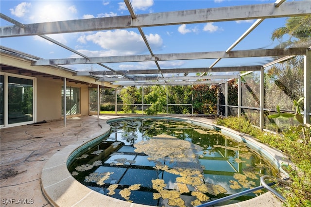 view of swimming pool with a lanai and a patio