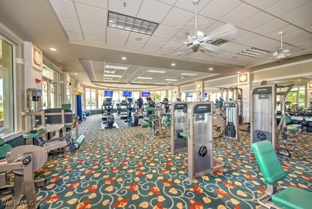 workout area featuring a paneled ceiling, ceiling fan, and carpet floors