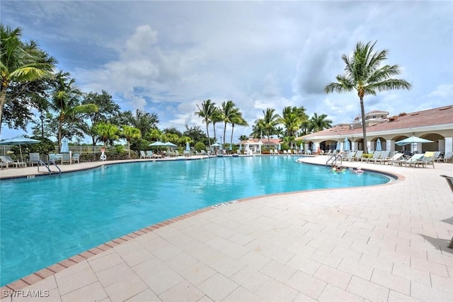 view of pool featuring a patio area