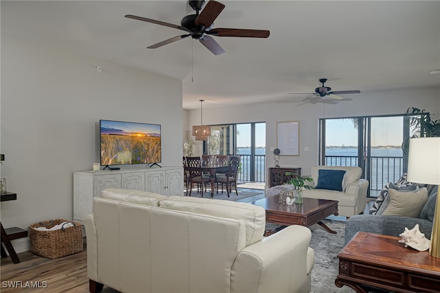 living room with ceiling fan and light hardwood / wood-style flooring