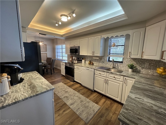 kitchen with appliances with stainless steel finishes, a tray ceiling, white cabinetry, and a wealth of natural light