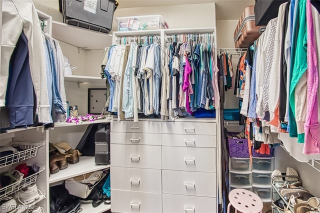 view of spacious closet