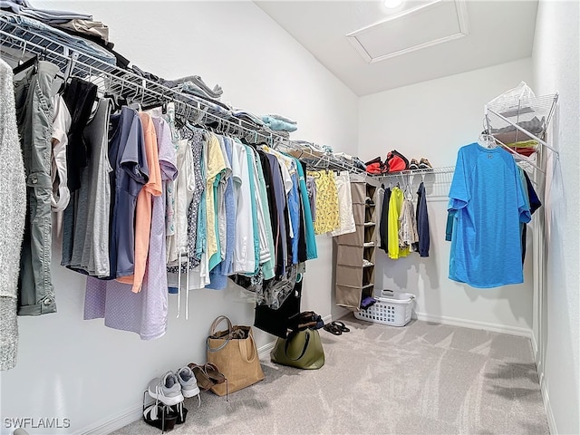 spacious closet with carpet floors