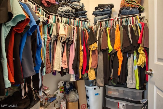 view of walk in closet