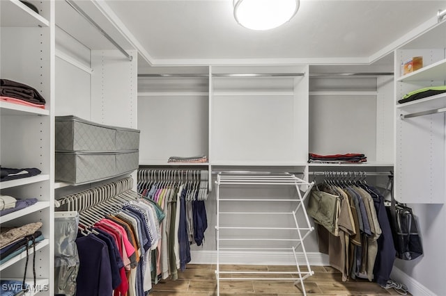 walk in closet featuring wood-type flooring