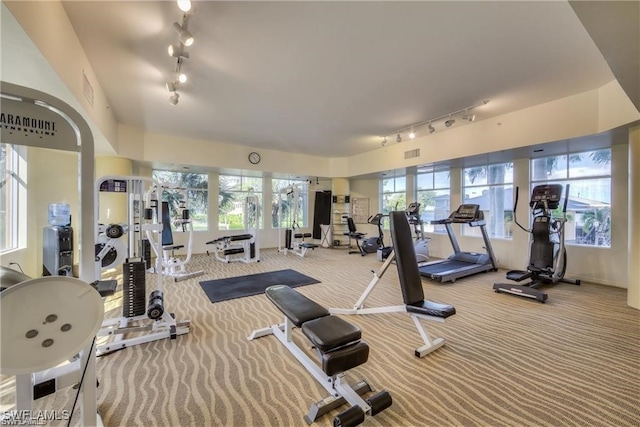 gym featuring rail lighting, plenty of natural light, and light carpet