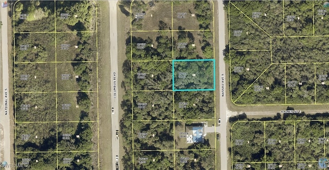 144 Nassau Ave, Lehigh Acres FL, 33974 land for sale