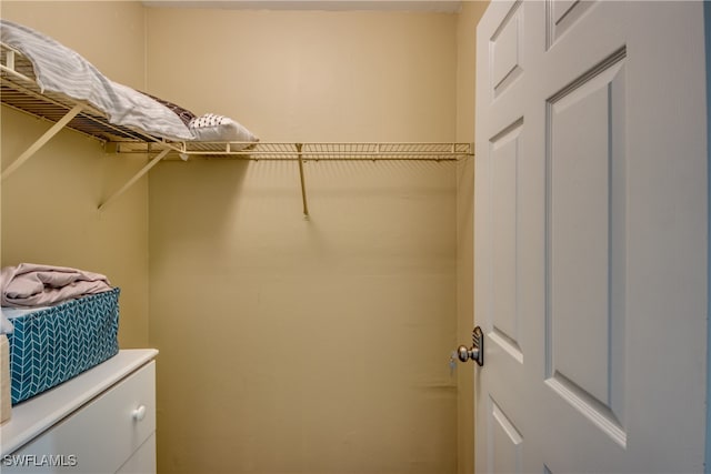 view of walk in closet