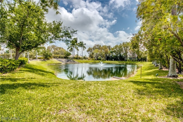 property view of water