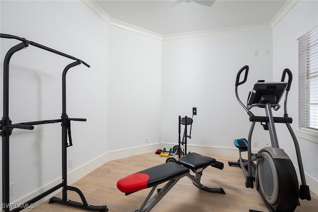 workout area with crown molding and light hardwood / wood-style flooring