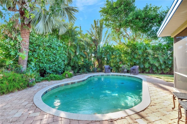 view of pool featuring a patio