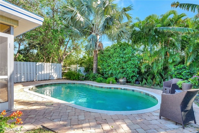 view of pool with a patio