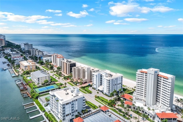 aerial view with a water view and a view of the beach