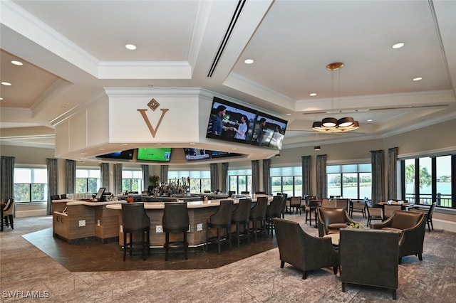 interior space with a raised ceiling, plenty of natural light, and ornamental molding