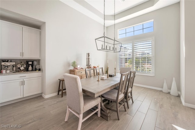 dining room featuring light hardwood / wood-style floors and a raised ceiling