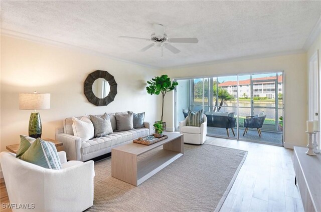 living room featuring ceiling fan, crown molding, light wood-type flooring, and a textured ceiling