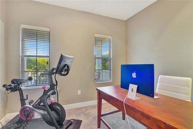 office area featuring light colored carpet