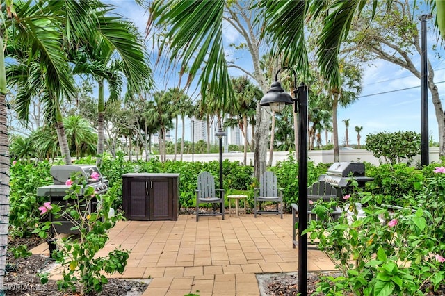 view of patio / terrace featuring area for grilling