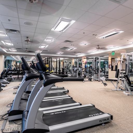 gym featuring a drop ceiling and carpet floors