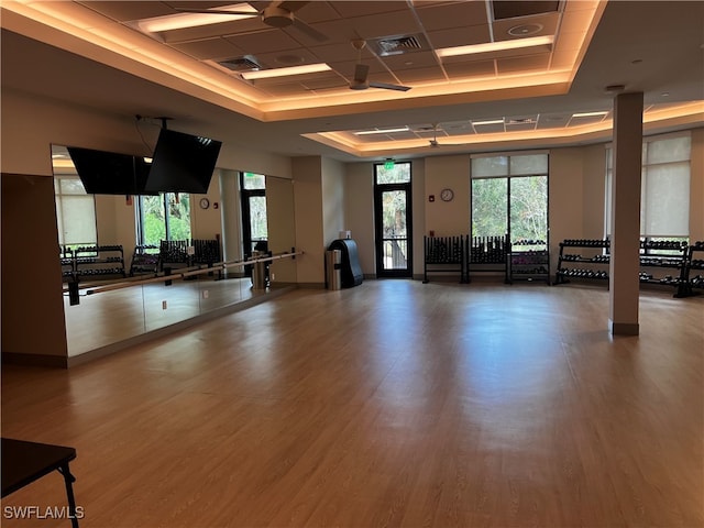 exercise room with hardwood / wood-style flooring, plenty of natural light, and a tray ceiling