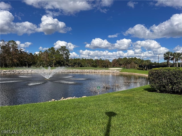 property view of water