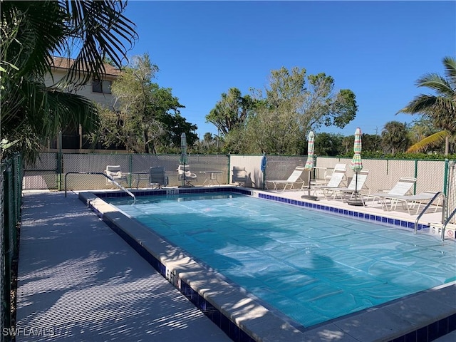 view of pool featuring a patio