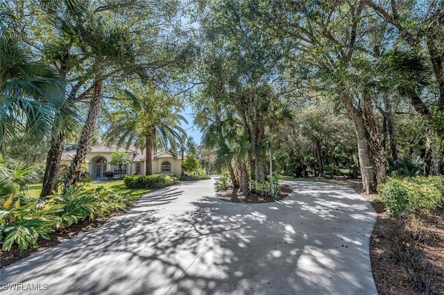 view of street with concrete driveway