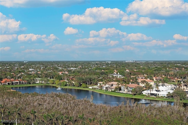 aerial view with a water view