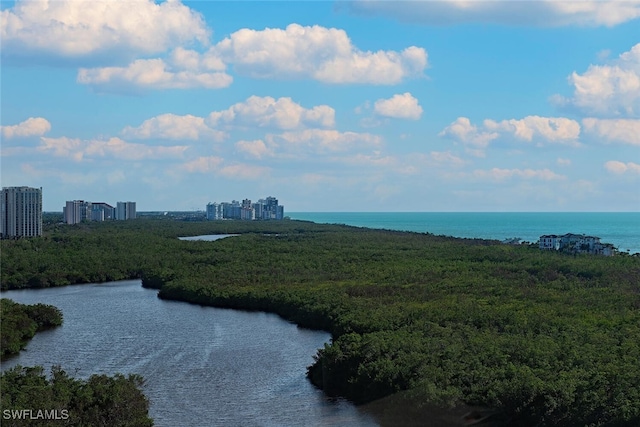 property view of water