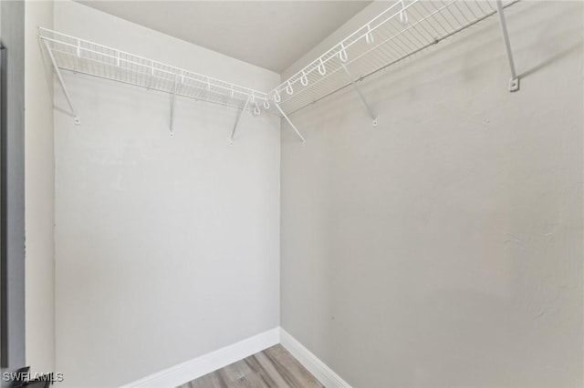 spacious closet featuring hardwood / wood-style floors