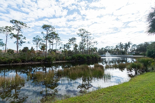 property view of water