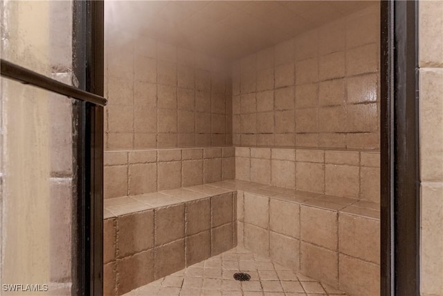 interior space with tiled shower