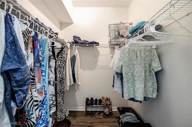 spacious closet with wood-type flooring