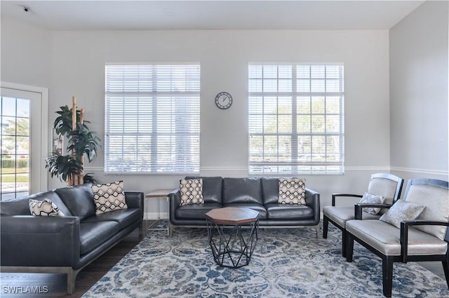 living room featuring wood-type flooring