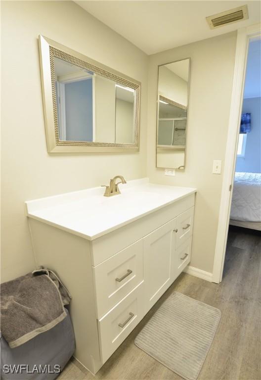 bathroom featuring wood-type flooring and vanity