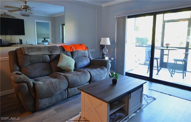 living room with ceiling fan, ornamental molding, and light wood-type flooring