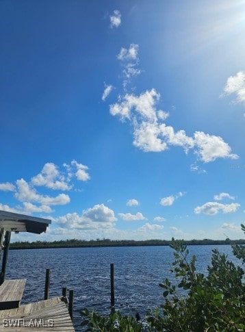 dock area with a water view