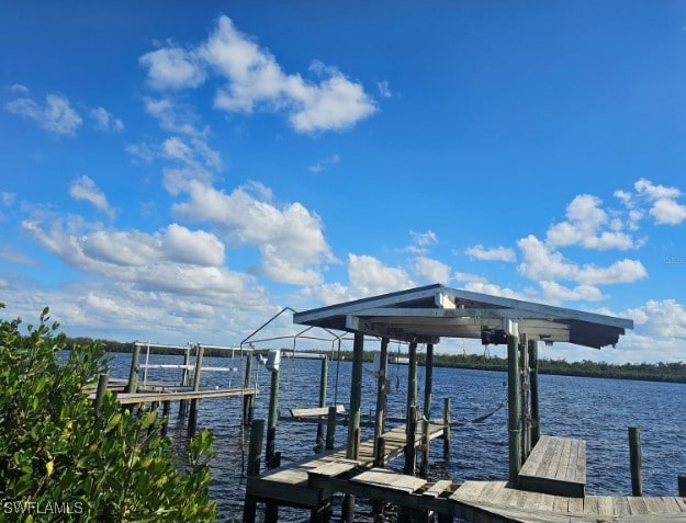 dock area with a water view