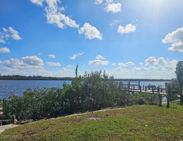 dock area with a water view